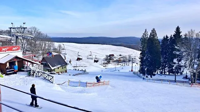 Apartament Lewinek *